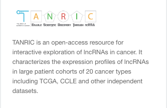 tanric